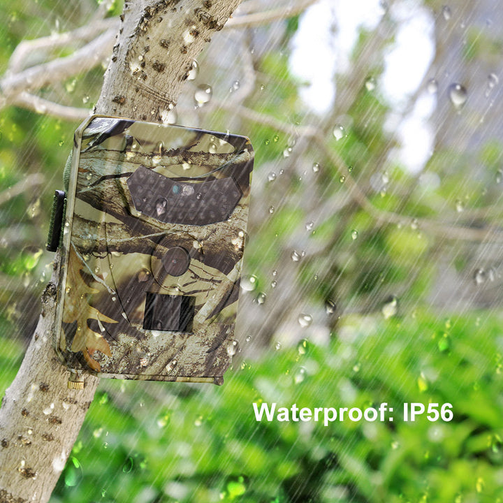 Unlock the Wild with the 1080P Trail Hunting Camera