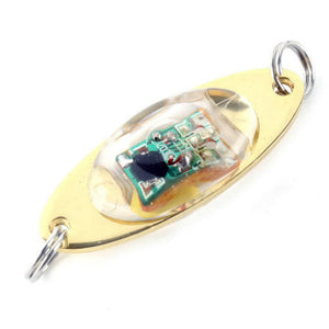 Illuminate Your Fishing Experience with the Button Battery Fish Lure Lamp