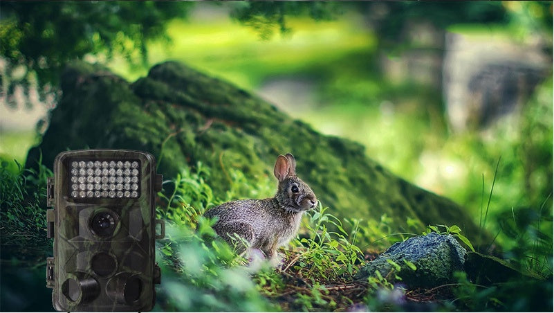Wildlife Hunting Trail Camera Infrared Night Vision