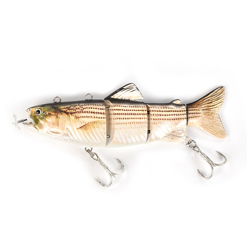 Fishing Lure Bait
