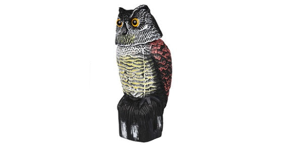 Outdoor Hunting Animal Model Prop