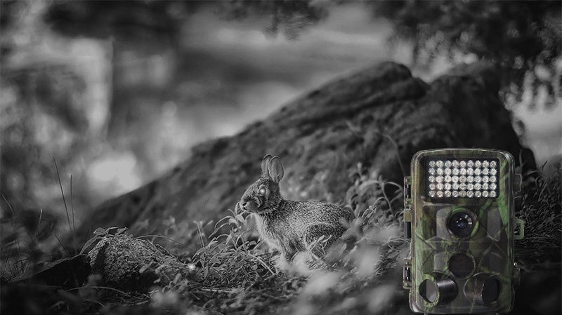 Wildlife Hunting Trail Camera Infrared Night Vision