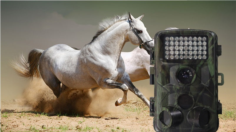 Wildlife Hunting Trail Camera Infrared Night Vision